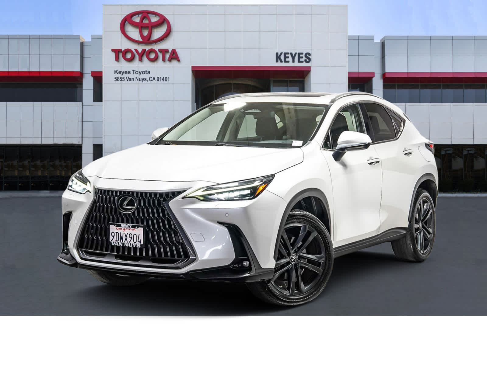 2023 Lexus NX 450h+